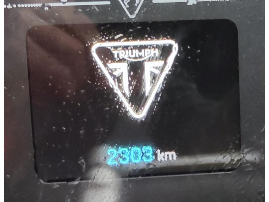 TRIUMPH SPEED TWIN 1200 2025