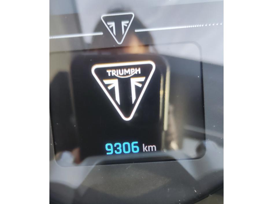 TRIUMPH TRIDENT 660
