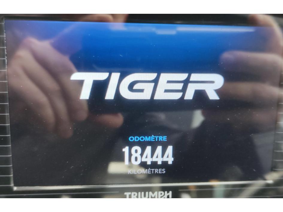 TRIUMPH TIGER 800 XRT